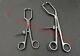 Veterinary Pelvic Forcep Straight & Curved (Set of 2pcs) Surgical Instrument